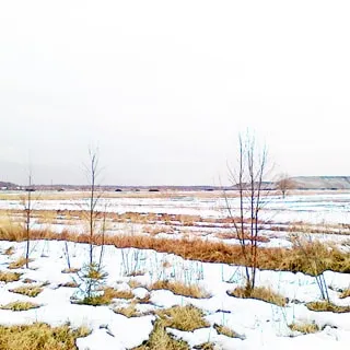 На зимнем фото: чистое ровное поле, за ним вдалеке и правее - холм, за ним - лесополоса