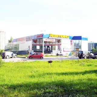 На фото: здание торгового комплекса Девяткино, перед зданием - площадка для парковки автомобилей, газон, деревья, на заднем плане - многоэтажная жилая застройка