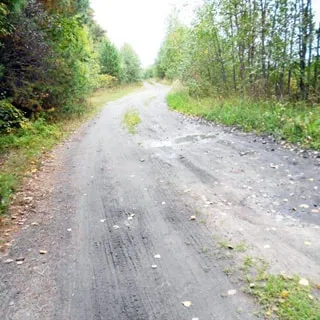 На фото: участок лесной проселочной грунтовой дороги, справа и слева - опушки смешанного леса, без уклонов, оврагов и канав