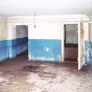 На фото: часть помещения, без окон, стены окрашены в половину высоты, полы - цементные, по стене проложена вентиляция, трубопроводы