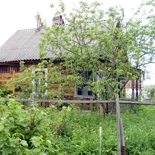 На фото: одноэтажный деревянный садовый дом с верандой, кровля - шифер, участок огорожен забором из сетки рабица, на участке - садовые посадки