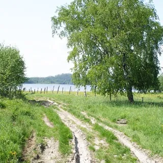 На фото: проселочная грунтовая дорога, слева от дороги - луг, кусты, справа от дороги - луг, дерево, огороженный земельный участок, впереди на дальнем плане - водная гладь водоема, на противоположном берегу - лес