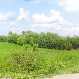 На фото: вид с дороги на земельный участок, участок ровный, луговой, не разработан, без построек, покрыт травой и кустарником