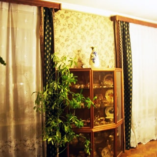 На фото: часть помещения жилой комнаты, два окна, между окнами у стены - трехстворчатый шкаф со стеклянными дверями с посудой, на шкафу - ваза, рядом со шкафом - декоративное растение, стены оклеены обоями, полы - паркет