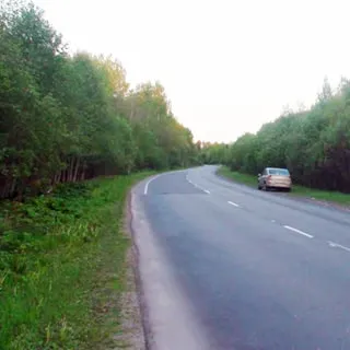 На фото: асфальтированная автомобильная двухполосная дорога с обоченой, слева и спрва за обочиной - лесополоса, кусты, деревья, на правой обочине - припакрованный легковой автомобиль