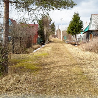 На фото: грунтовая дорога внутри сельского населенного пункта, справа и слева от дороги - садовые домики, кустарник, деревья, вдоль дороги - железобетонные опоры линии электропередач, на дальнем плане - опора с трансформатором