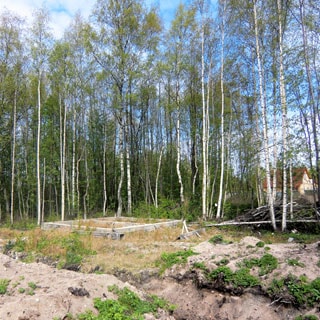 На фото: часть земельного участка с фундаментом жилого дома, за заднем плане - молодые деревья, кустарник