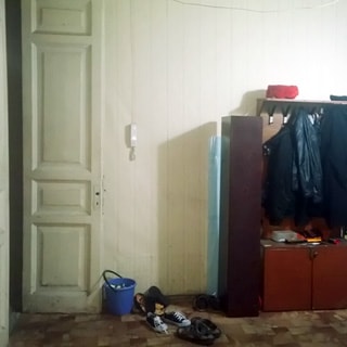 На фото: часть помещения прихожей, слева - входная дверь, на стене - трубка домофона, правее - навесная вешалка для одежды, под ней - тумба для обуви, стены оклеены обоями, полы - линолеум