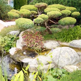 На фото: прудик с текущей водой, ландшафтный дизайн из камней, декоративное карликовое дерево