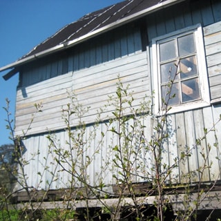 На фото: часть фасада одноэтажного садового дома, обшитого вагонкой, окно, кровля покрыта рубероидом, перед домом - ветки кустарника
