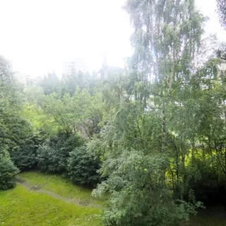 На фото: вид из окна в зеленый двор, деревья, кустарники, газон, пешеходная дорожка