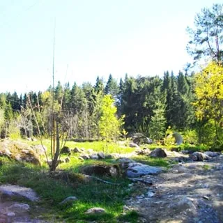 На фото: земельный участок, растительность луговая, на переднем плане - камни, валуны, на заднем плане - линия электропередачи, за ней - опушка леса