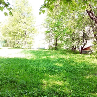 На летней фотографии: часть внутриквартальной придомовой территории, зеленый газон, деревья, кустарник, на заднем плане - трансформаторная подстанция и жилой дом