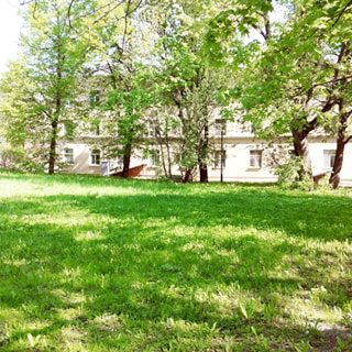 На летней фотографии: часть внутриквартальной придомовой территории, зеленый газон, деревья, на заднем плане - трехэтажный жилой дом