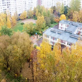 Однокомнатная квартира 39 кв.м на проспекте Просвещения (Выборгский, МО‑15) продается. Окна - в большой зеленый двор