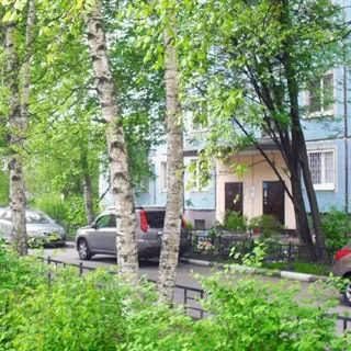 Трехкомнатная квартира 57 кв.м в Учебном переулке (Выборгский, МО‑16, Парнас) продается. Фасад дома