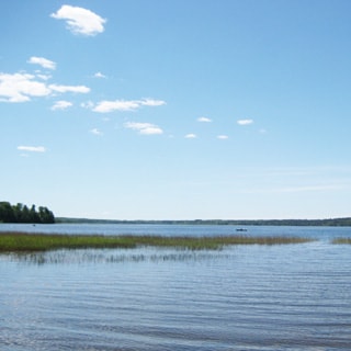 На фото: вид на озеро с берега, на переднем плане - мелководье с порослью тростника, на дальнем - большая вода, по берегам - лес