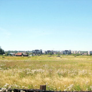 На фото: вид из окна, поле, луговая растительность, на заднем плане одноэтажный частный дом, за ним - коттеджная застройка, за ней - городская застройка