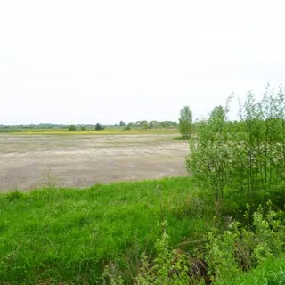 На фото: придорожная сточная канава, за ней - луговая полоса с кустарником и травой, за ней - земельный участок без растительности, выровнен, не огорожен, без построек