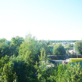 На фото: вид из окна во двор, много деревьев и зелени, открытая перспектива с видом на поля и лес за границей жилой застройки