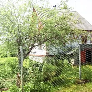 На фото: индивидуальный одноэтажный жилой дом на огороженном участке, ограждение - забор из сетки рабица, на участке перед домом - газон, садовые посадки и плодовые деревья, фасад дома облицован кирпичом, кровля - двускатная шиферная