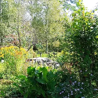 На летнем фото: территория придомового участка садовыми посадками, цветами, огородом и деревьями, складированными строительными кровельными материалами