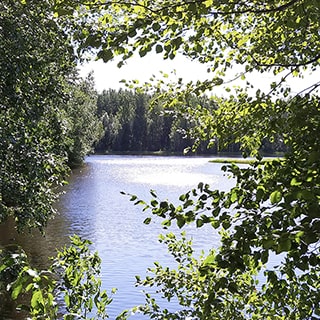 На летнем фото: водная гладь водоема в окружении лесного массива со всех сторон, деревья в основном - лиственных пород, водная гладь чистая, без рыбаков, отдыхающих и водоплавающих птиц