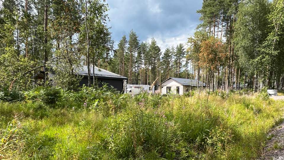 На летнем фото: свободный земельный участок покрыт травой и мелким кустарником, не огорожен, за дальним краем участка и слева видны постройки на соседних участках, за ними - лесополоса из сосен