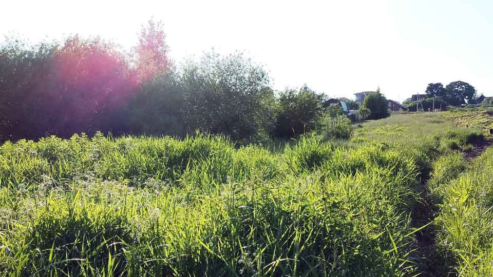 На летнем фото: ровный, обильно покрытый луговой растительностью участок, на заднем плане по границе участка - кусты, с правой стороны - проселочная грунтовая дорога, на дальнем плане дачная малоэтажная застройка